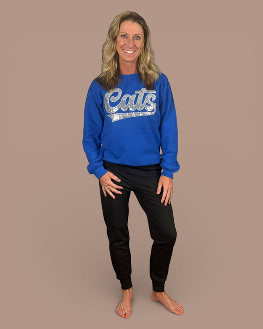 Silver Sequin Cats Sweatshirt