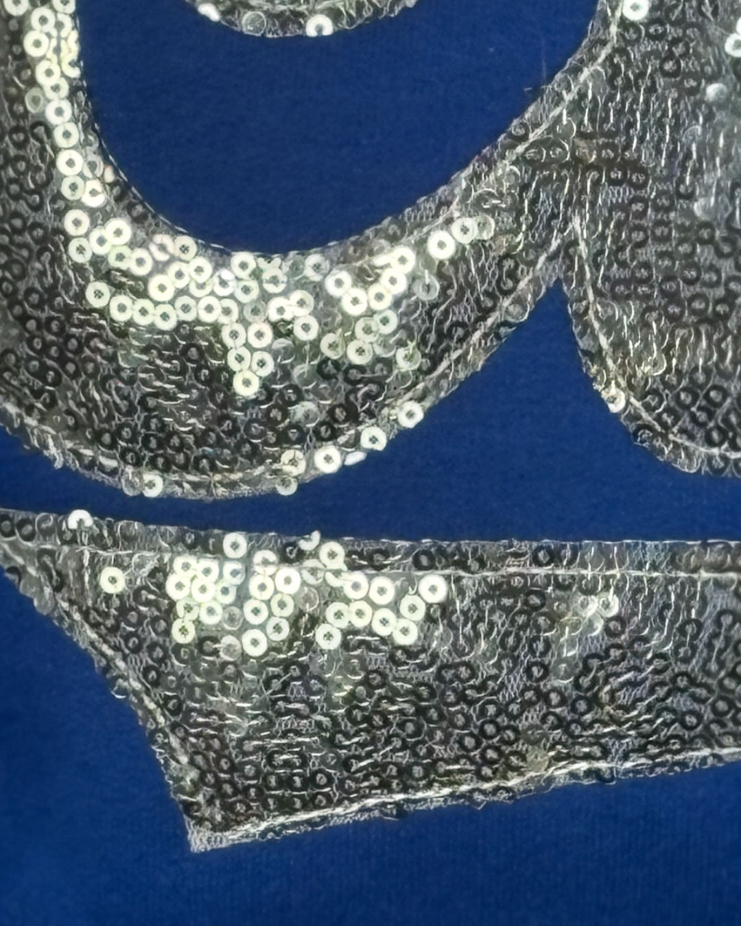 Silver Sequin Cats Sweatshirt-Plus